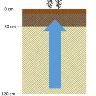 Foto soil humidity wet